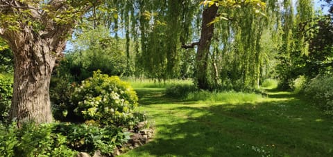 Woodland cottage gardens