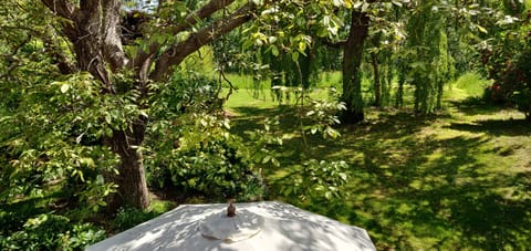 Views from roof lights in Mezzanine bedroom