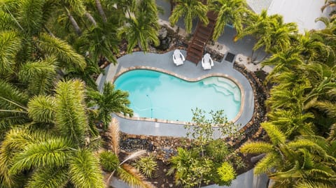 [Pool] Fresh water stream encircles the large pool