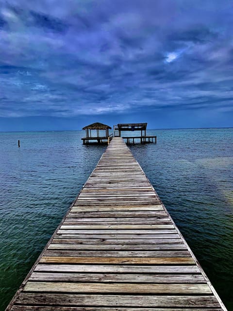 Private 300 ft dock