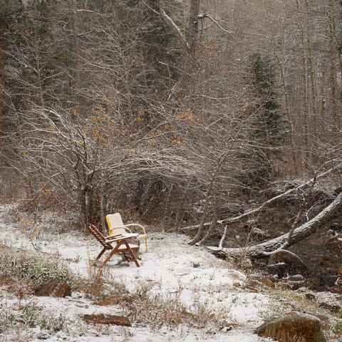 Bundle up and play in the snow along the frozen river