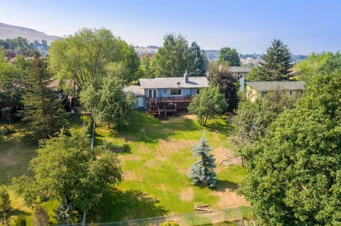 exterior - back yard