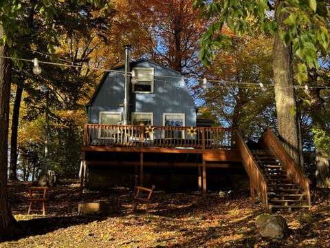 Beautiful fall photo from bottom deck