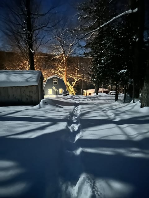 View from driveway during winter