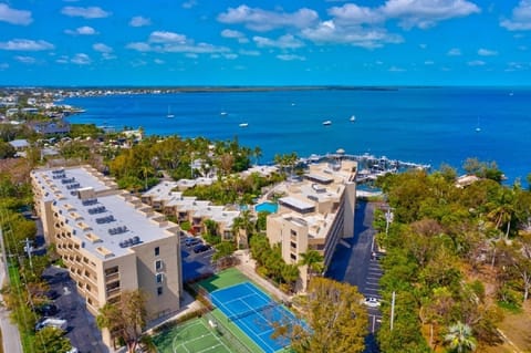 Bird's eye view of property