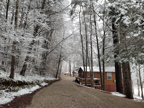 The Doghouse on Cabin Row