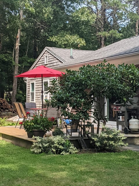 Great outdoor space