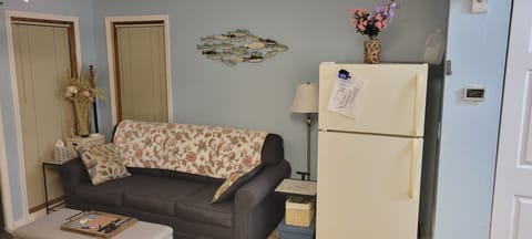 Queen Size Pull Out Bed