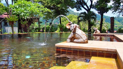 Outdoor pool, a natural pool