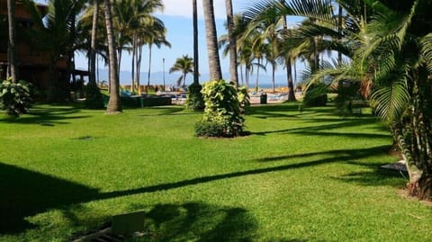 Surroundings