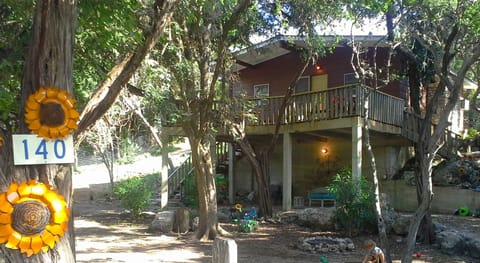 SUNFLOWER On The FRIO!