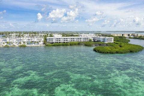 View from from the sky our unit is to the right side view of mangrove/ocean.