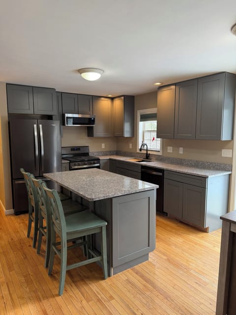 Newly renovated kitchen