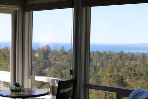 Upper Level Ocean & Forest View
