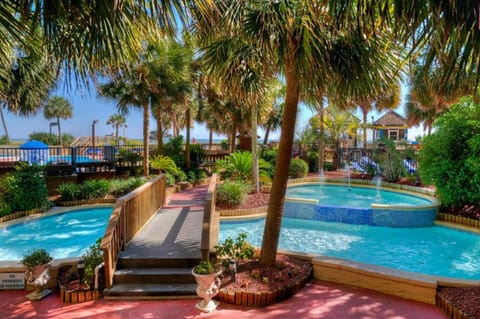 You will feel like you are on a tropical island.