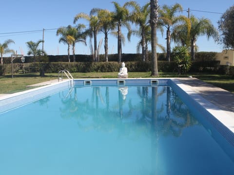 Water, Sky, Plant, Property, Swimming Pool, Tree, Azure, Body Of Water, Shade, Arecales