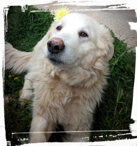 Room, 1 Bedroom, Accessible, Private Pool | Exterior detail