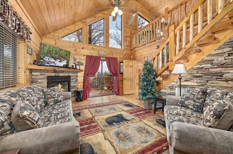 Spacious Cozy Living Space with Pull Out Sofa to sleep 1-2 guests
