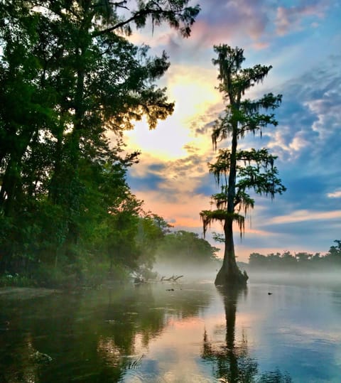 Lake