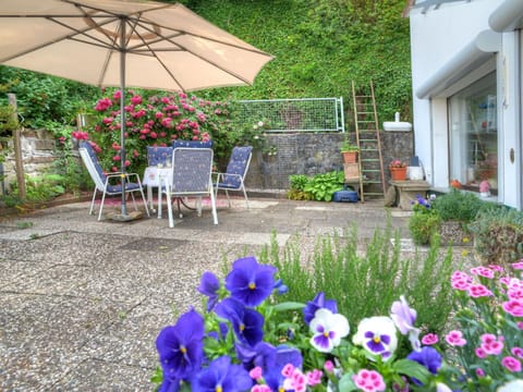 Flower, Plant, Property, Flowerpot, Chair, Umbrella, Botany, Table, Lighting, Petal