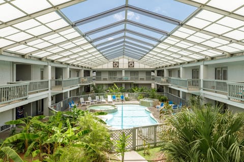 Discover your tropical oasis under this stunning glass atrium, where you'll enjoy the pool surrounded by lush palms year-round.