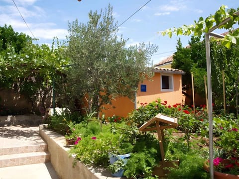 external view
