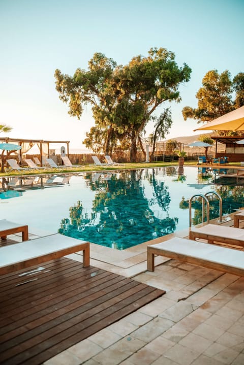 Outdoor pool, open 7:00 AM to 8:00 PM, sun loungers