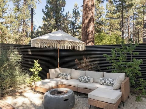 Cushions, pillow, and umbrella seasonally available. Cushions are kept in a storage box year round. This is to prevent critters, sap, and sun damage. 