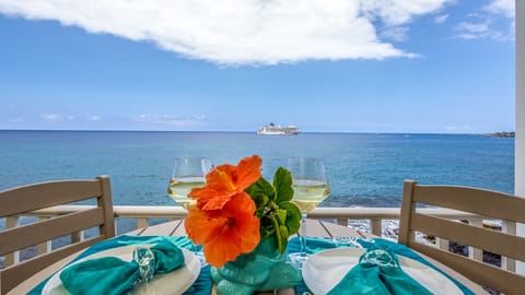 Enjoy this aquarium at your fingertips. BEST VIEW IN KONA! 