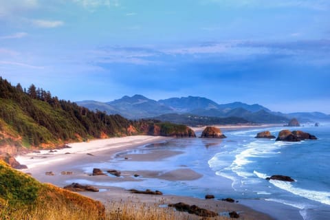 The Oregon Coast provides a scenic playground to enjoy outdoor recreation, museums & thriving beachside communities.
