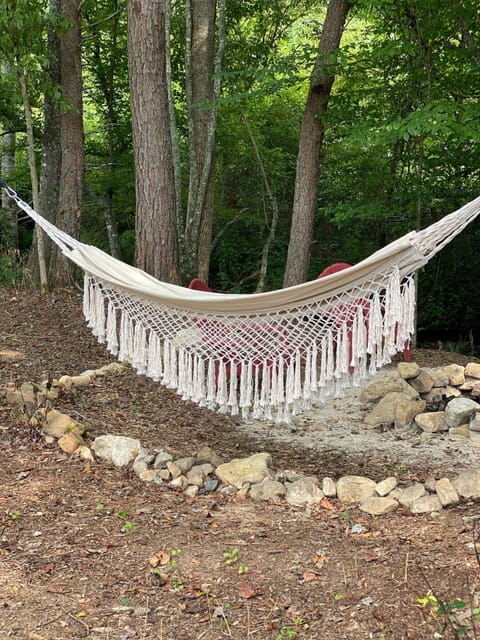 Beautiful hammock right on the creek 
