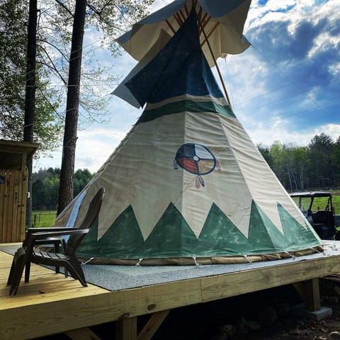 View from bonfire area, so close!