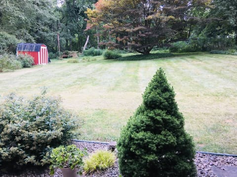 A huge private backyard, perfect for the kids to play here