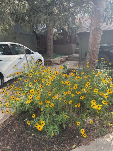Parking & Garage beyond both with chargers