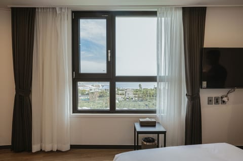 Twin Room, Ocean View | View from room