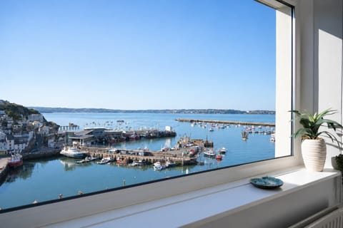 Watch all the action of the harbour