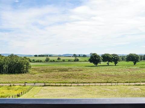 View | Gin Case, Gin Case