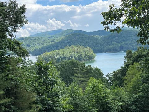 View from front porch 