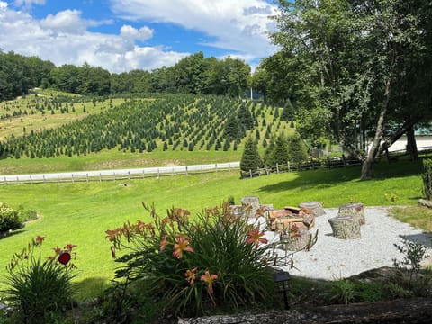 Back view and fire pit 