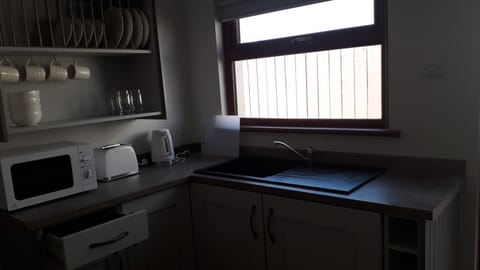 Apartment | Private kitchen | Fridge, microwave, oven, electric kettle