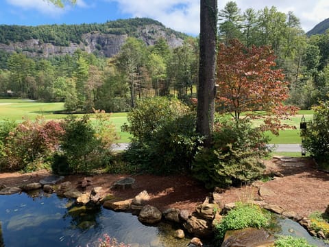 High Hampton Golf Course and Rock Mountain View!
