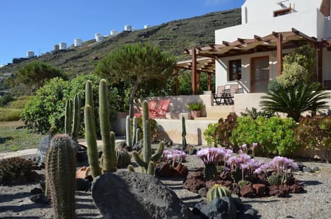 OUR CACTUS COLLECTION