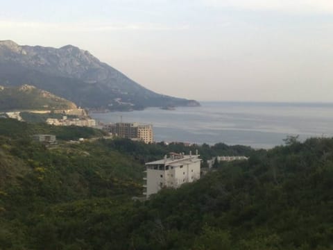 Apartments in Becici Apartment in Budva Municipality