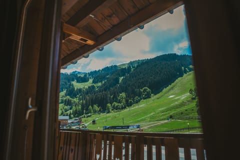 Mountain view