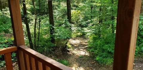 e6a8d71c-1443-4913-a159-7657be6fc49e