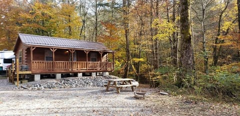 271238372 403856508198719 3732303327178801223 n