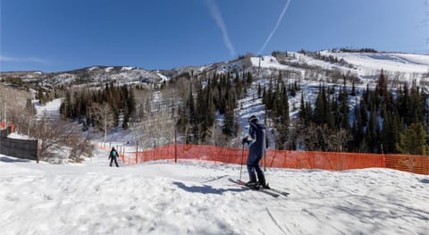 Skiing Next to Complex