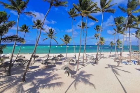 Free beach shuttle