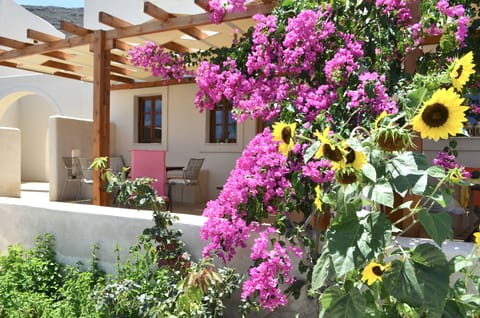THE PATIO