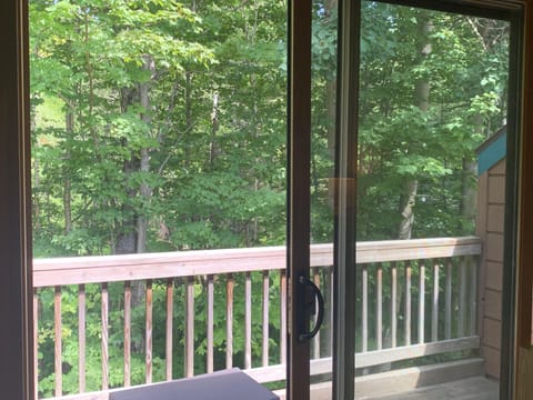 Wooded views from living room and master bedroom